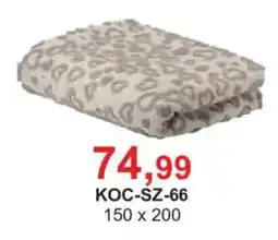 Meble Bodzio KOC-SZ-66 oferta