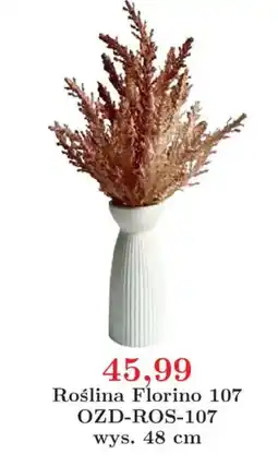 Meble Bodzio Roślina Florino 107 oferta