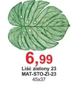 Meble Bodzio Liść zielony 23 oferta