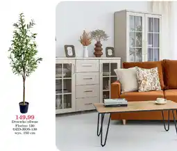 Meble Bodzio Drzewko oliwne Florino 130 oferta