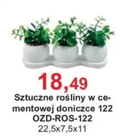 Meble Bodzio Sztuczne rośliny w cementowej doniczce 122 oferta