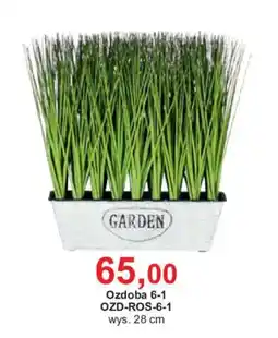 Meble Bodzio Ozdoba 6-1 oferta