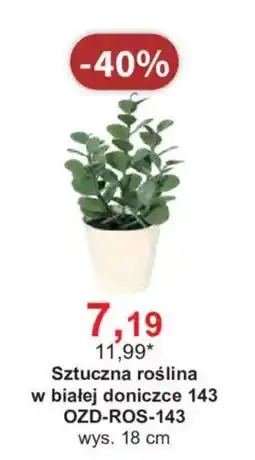 Meble Bodzio Sztuczna roślina w białej doniczce 143 oferta