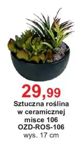 Meble Bodzio Sztuczna roślina w ceramicznej misce 106 oferta