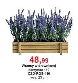 Meble Bodzio Wrzosy w drewnianej skrzynce 110 oferta