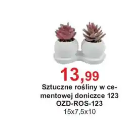Meble Bodzio Sztuczne rośliny w cementowej doniczce 123 oferta