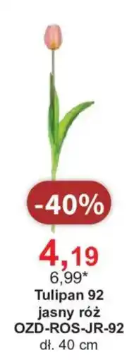 Meble Bodzio Tulipan 92 oferta