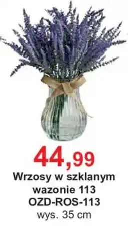 Meble Bodzio Wrzosy w szklanym wazonie oferta