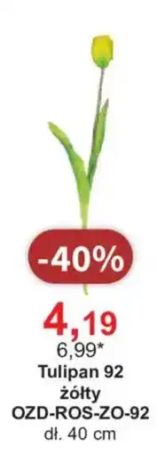 Meble Bodzio Tulipan 92 oferta