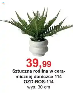 Meble Bodzio Sztuczna roślina w ceramicznej doniczce oferta