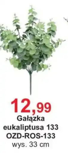 Meble Bodzio Gałązka eukaliptusa 133 oferta
