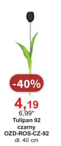 Meble Bodzio Tulipan 92 czarny oferta