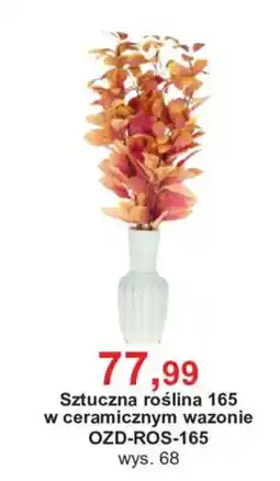 Meble Bodzio Sztuczna roślina 165 w ceramicznym wazonie oferta