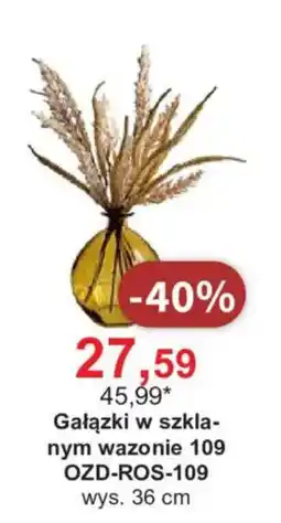 Meble Bodzio Gałązki w szklanym wazonie 109 oferta