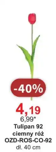 Meble Bodzio Tulipan 92 ciemny róz oferta