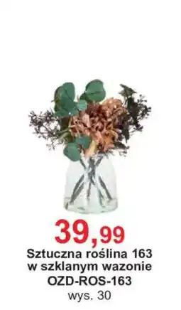 Meble Bodzio Sztuczna roślina 163 w szklanym wazonie oferta