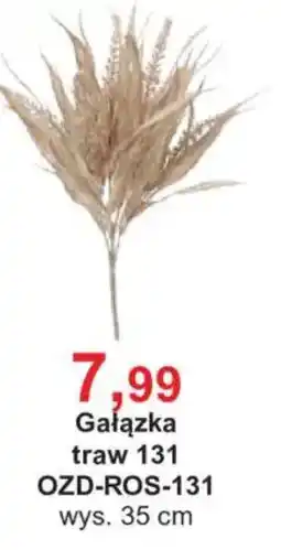 Meble Bodzio Gałązka traw 131 oferta