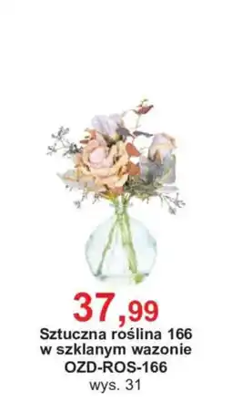 Meble Bodzio Sztuczna roślina 166 w szklanym wazonie oferta