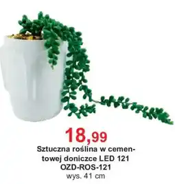 Meble Bodzio Sztuczna roślina w cemen- towej doniczce LED 121 oferta