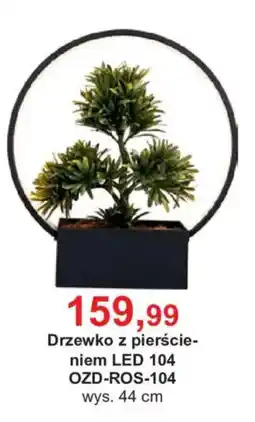 Meble Bodzio Drzewko z pierścieniem LED 104 oferta