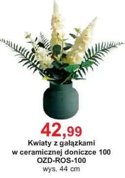 Meble Bodzio Kwiaty z gałązkami w ceramicznej doniczce 100 oferta