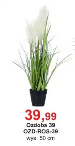 Meble Bodzio Ozdoba 39 oferta