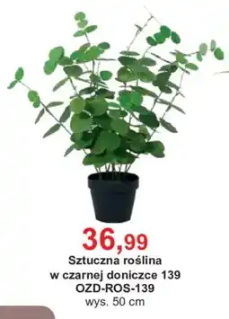 Meble Bodzio Sztuczna roślina oferta