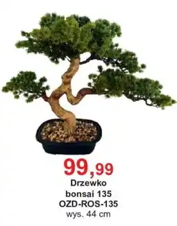 Meble Bodzio Drzewko bonsai 135 oferta