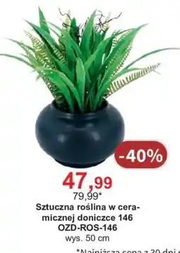 Meble Bodzio Sztuczna roślina w ceramicznej doniczce 146 oferta