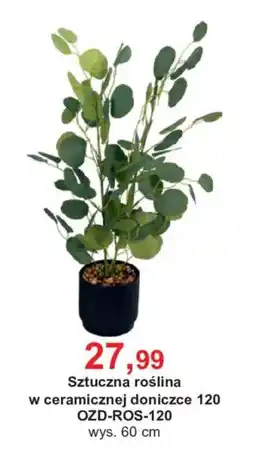 Meble Bodzio Sztuczna roślina oferta