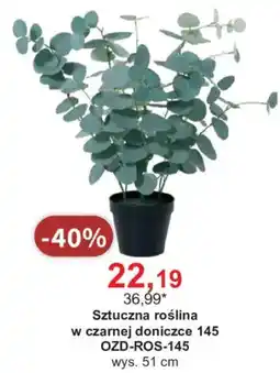 Meble Bodzio Sztuczna roślina w czarnej doniczce oferta