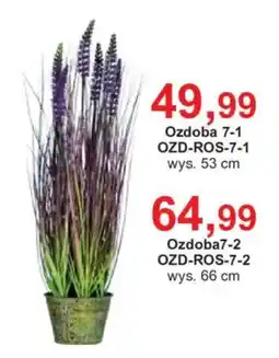 Meble Bodzio Ozdoba 7-1 OZD-ROS-7-1 oferta