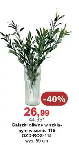 Meble Bodzio Gałązki oliwne w szklanym wazonie 115 oferta