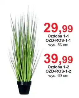Meble Bodzio Ozdoba 1-1 OZD-ROS-1-1 oferta