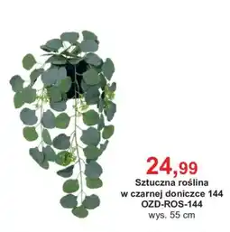 Meble Bodzio Sztuczna roślina oferta