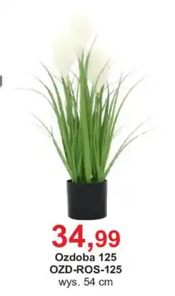 Meble Bodzio Ozdoba 125 oferta