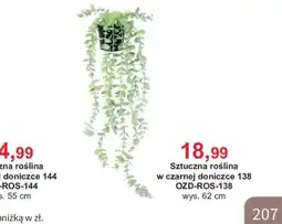 Meble Bodzio Sztuczna roślina oferta