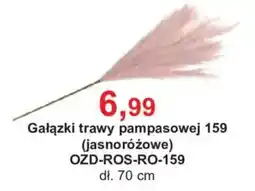 Meble Bodzio Gałązki trawy pampasowej 159 (jasnoróżowe) oferta
