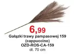 Meble Bodzio Gałązki trawy pampasowej 159 (cappuccino) oferta