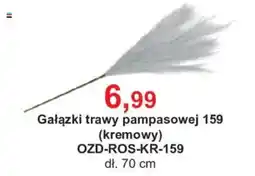 Meble Bodzio Gałązki trawy pampasowej 159 (kremowy) oferta