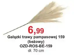 Meble Bodzio Gałązki trawy pampasowej 159 oferta