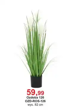 Meble Bodzio Ozdoba 126 oferta