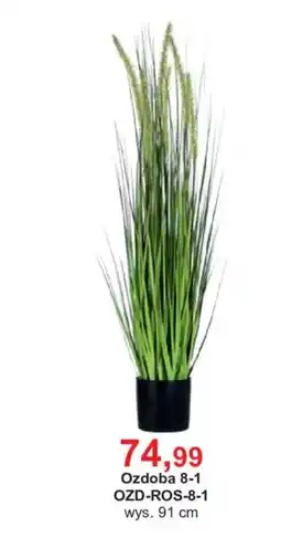 Meble Bodzio Ozdoba 8-1 oferta