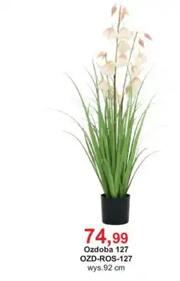 Meble Bodzio Ozdoba 127 oferta