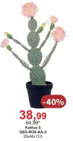 Meble Bodzio Kaktus 5 oferta