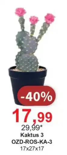 Meble Bodzio Kaktus 3 oferta