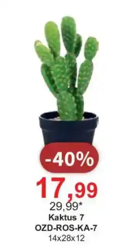 Meble Bodzio Kaktus 7 oferta