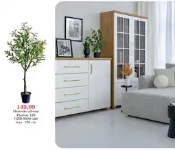 Meble Bodzio Drzewko oliwne Florino 129 oferta