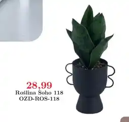 Meble Bodzio Roślina Soho 118 oferta