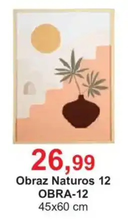 Meble Bodzio Obraz Naturos 12 oferta